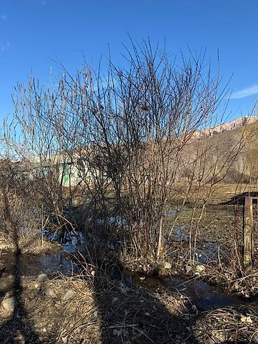 Продажа коттеджей и домов: Красная книга. 45 км от Бишкека. доезжаю с центра Бишкека (район ТЭЦ) — 10