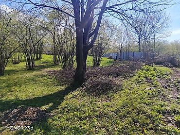 Torpaq sahələrinin satışı: Azərbaycanın ən gözəl guşələrindən biri olan Oğuz rayonu Xaçmaz — 17