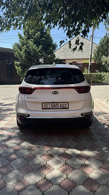 америк: Kia Sportage: 2020 г., 2.4 л, Автомат, Бензин — 6