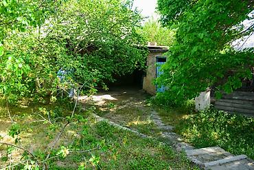 bağca satılır: Bağ evi və torpaq sahəsi - Geniş həyət: yaşıllıqla əhatəli, meyvə — 2