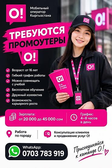 Требуется Промоутер, Без опыта, Неполный рабочий день, График: Гибкий график, Обучение