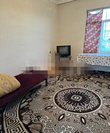 Həyət evləri və villaların satışı: 35 kv. m, 1 otaqlı