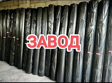 Тип пленки, Новый