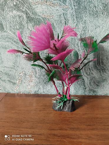 Аквариумы: Аквариум заводской, с крышкой 60 литров, со всеми комплектующими — 22