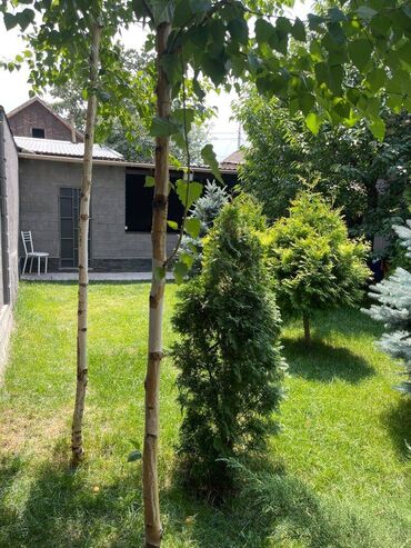 дом посёлок манас: 100 м², 3 комнаты, Бронированные двери, Видеонаблюдение, Евроремонт