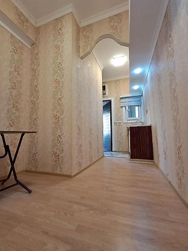 tap.az berde: 1 otaqlı, 15 kv. m, Kredit yoxdur, Yeni təmirli — 3