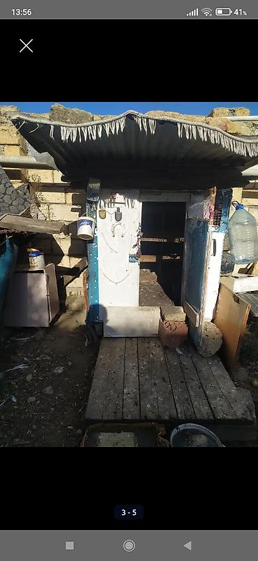 Yuvalar: Satılır: Taxta toyuq/broyler koykası (quşxana) Xüsusiyyətlər: - Tam — 1