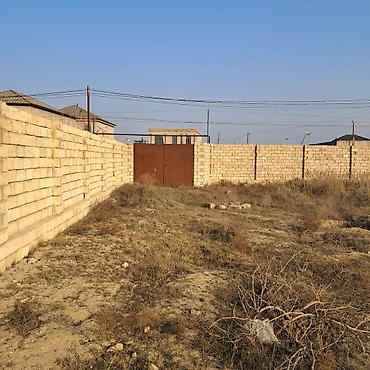 sabuncuda: 12 sot, Tikinti, Kupça (Çıxarış) — 9