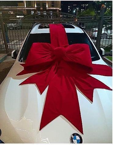 Организация мероприятий: Организация мероприятий | Аниматоры — 15