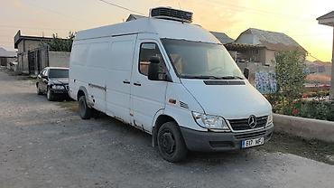 Аренда транспорта: Mercedes-Benz Sprinter 413 CDI рефрижераторный фургон - Длинная база — 3
