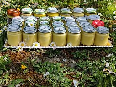 silikonska podloga za presvlacenje: KREMA OD CVETA MASLAČKA 100GR | Domaće kreme od cveta maslačka — 5