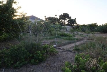 Torpaq sahələrinin satışı: 3 sot, Tikinti, Mülkiyyətçi, Kupça (Çıxarış) — 4