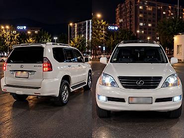 даф 2015: 🚘 АРЕНДА АВТО В ОШЕ! 🚘 🔥 HONDA TORNEO 🔥 ✨ 👍 ИДЕАЛЬНОЕ СОСТОЯНИЕ 👍 ✨ — 7