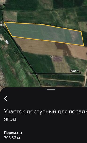 массаж салон ош: Нужен инвестор для производства свежих ягод для реализации на