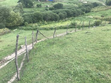 Torpaq sahələrinin satışı: 5 sot, Tikinti, Maklerlər narahat etməsin, Kupça (Çıxarış) — 10