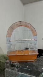 стоимость перепелиных яиц: Клетка