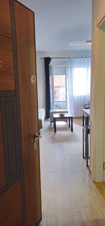 Turizam i odmor: Cera luxe studio 1 i 2 Sokobanja. za goste istančanog ukusa. strogi — 2