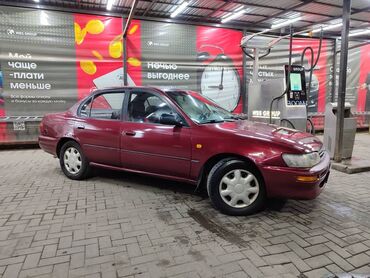 Toyota: Toyota Corolla: 1995 г., 1.6 л, Механика, Бензин, Седан