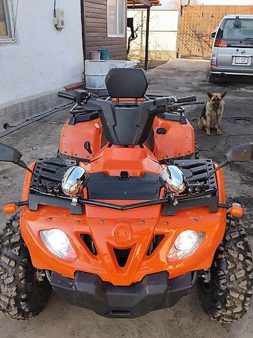 Квадроциклы: Квадроцикл Бензин, 420 куб. см, Взрослый — 9