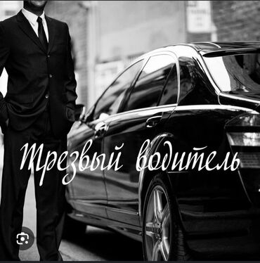 вакансии бишкек водитель: Трезвый водитель по городу Бишкек. страж большой. 18лет В.С.Д.Е только