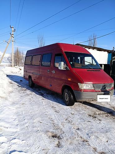 Mercedes-Benz: Mercedes-Benz Спринтер: 1998 г., 2.9 л, Механика, Дизель, Бус — 2