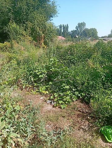 место отдыха: 15 соток, Для сельского хозяйства — 1