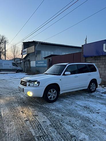 Subaru: Subaru Forester: 2003 г., 2 л, Автомат, Бензин, Универсал — 2