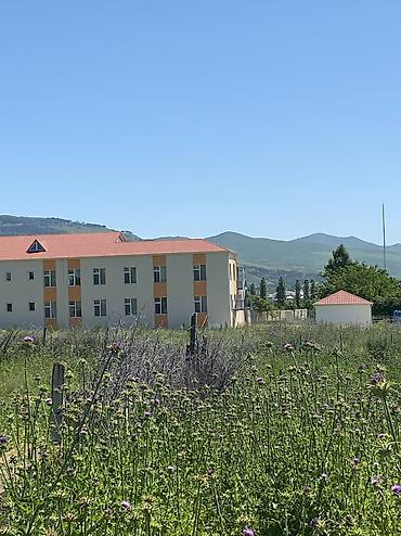 simental buzov satışı: 15 sot, Biznes üçün, Barter mümkündür, Kupça (Çıxarış) — 3