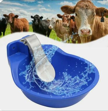 Qidalandırıcılar: Yem qabı, Su üçün, Heyvanlar üçün, Rayonlara çatdırılma, Ödənişli çatdırılma, Ünvandan götürmə — 4