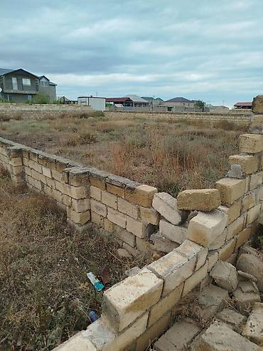 1 ha necə sotdur: 6 sot, Tikinti, Mülkiyyətçi, Kupça (Çıxarış) — 2