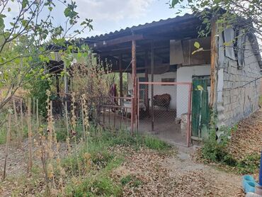 Продажа домов: Дача, 50 м², 3 комнаты, Собственник — 7