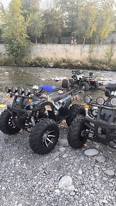 Квадроциклы: Квадроцикл ATV (детско‑подростковый/компактный) Характеристики и — 13