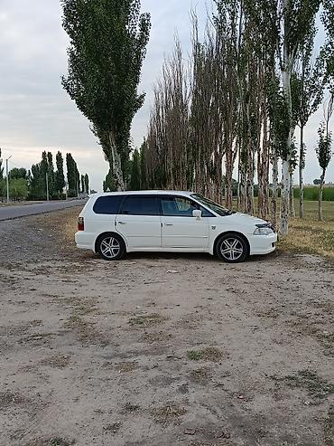 sprinter 4 4: Honda Odyssey: 2002 г., 2.3 л, Автомат, Бензин, Универсал — 1