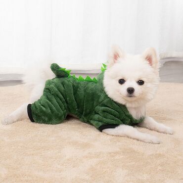 комбинезон для собак: Комбинезон одежда для питомцев 2024 в год "Зелёный Дракон" пылник