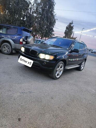 xarici maşınlar: BMW X5: 4.4 л | 2002 г. Пикап