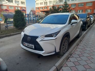 тайота жол тандабас: Lexus NX: 2018 г., 2 л, Автомат, Бензин, Внедорожник