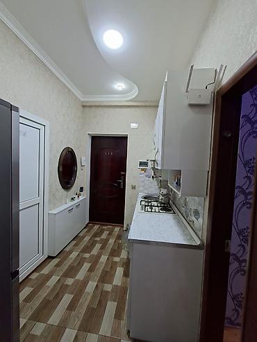 bileceri ucuz kiraye evler: 2 otaqlı, Yeni tikili, 40 kv. m — 5