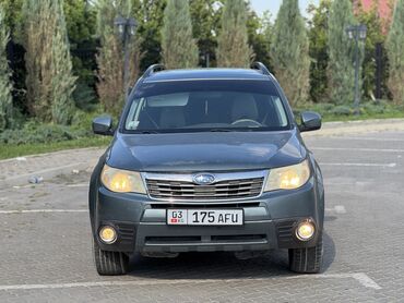 автомобиль субару форестер: Subaru Forester: 2008 г., 2.5 л, Типтроник, Бензин, Внедорожник