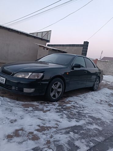 крыло на виндом: Toyota