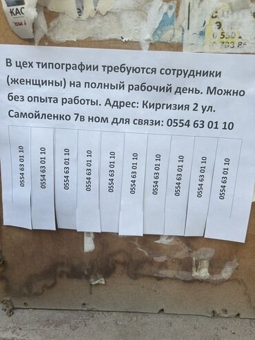 работа для строителей: Башка адистиктер