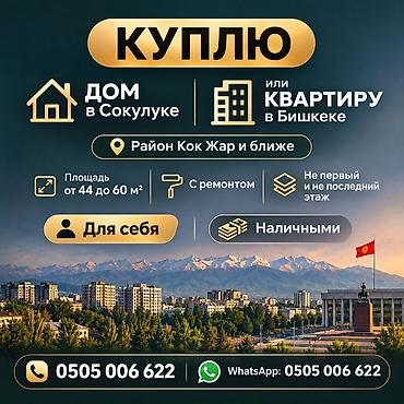 комна: Студия, 50 м² — 1