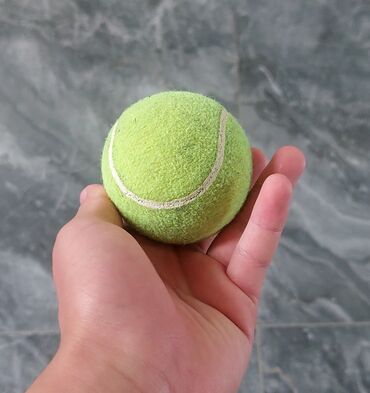 волейболный мячи: Мячи