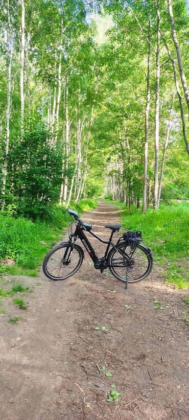 velosiped qiyməti: İşlənmiş Elektrik velosipedi 28", sürətlərin sayı: 10, 750 < Vt, Ünvandan götürmə