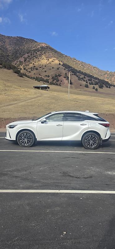 lexus 500: Lexus RX: 2023 г., 2.4 л, Автомат, Бензин, Кроссовер — 6