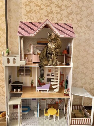 popit nece manatdir: Продам большой кукольный домик 🏠✨ 3 этажа, с мебелью. Очень красивый и
