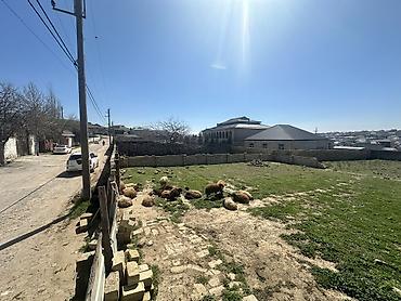 a frame: 6 sot, Tikinti, Maklerlər narahat etməsin, Kupça (Çıxarış) — 10