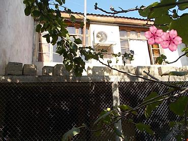 Torpaq sahələrinin satışı: 8 sot, Kənd təsərrüfatı, Kupça (Çıxarış) — 15