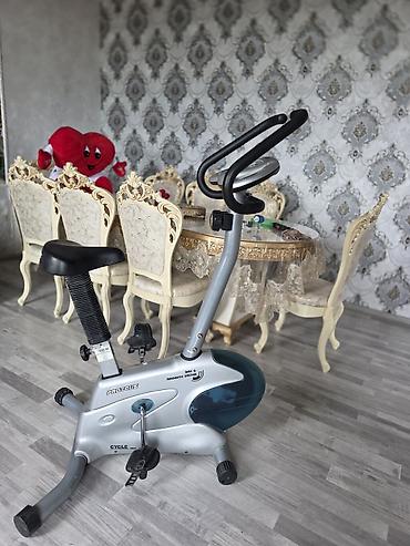 samokat az: Proteus Cycle PEC-2330 stasionar velosiped-trenajor. 450 azn alınıb — 8