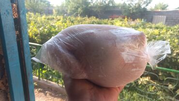 Птица: Бройлер :, 2 кг, 3 кг — 6