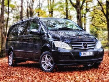 Tabutlar: Cənazənin son mənzilə yola salınması üçün xüsusi dəfn. Avtomobil — 5